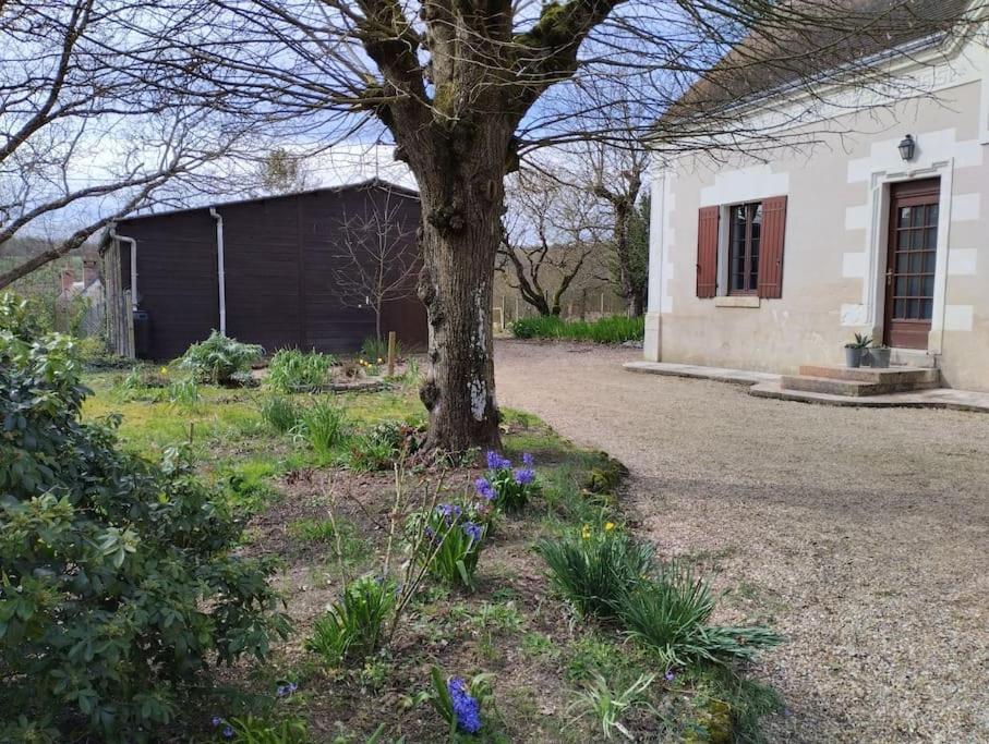 La Jolie Ruche Villa Saint-Georges-sur-Cher Exteriör bild