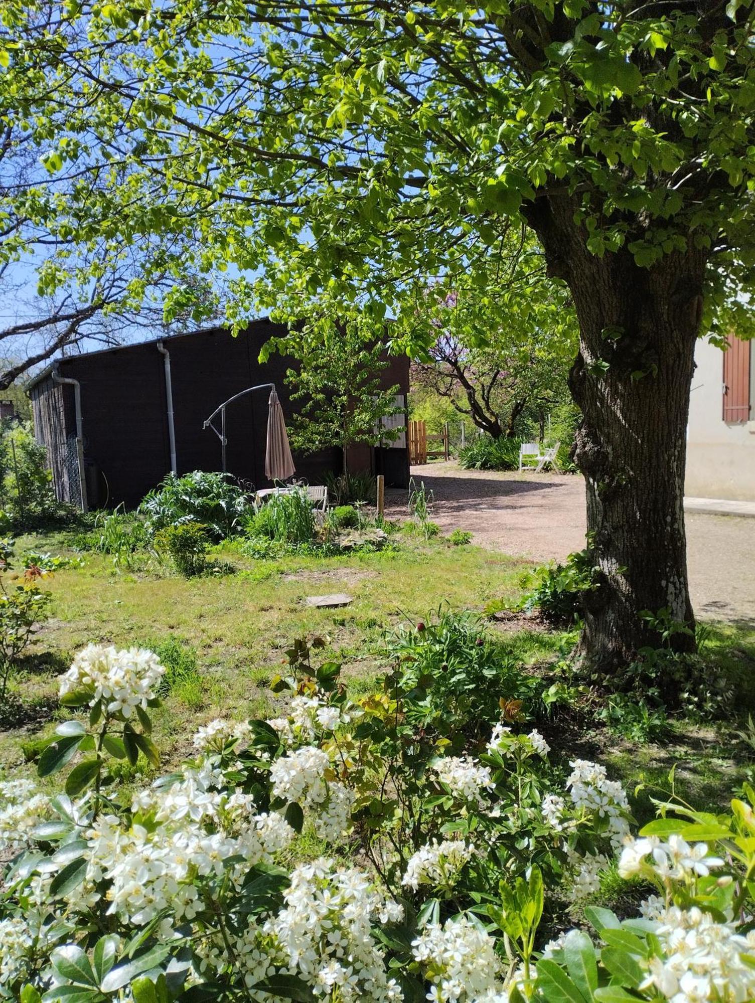 La Jolie Ruche Villa Saint-Georges-sur-Cher Exteriör bild